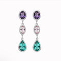 Multicolor Fashion Earrings